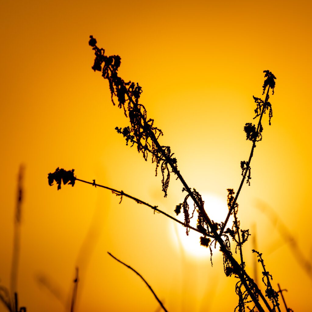 Gleichgewicht – zwischen Natur, Bewegung und Stille