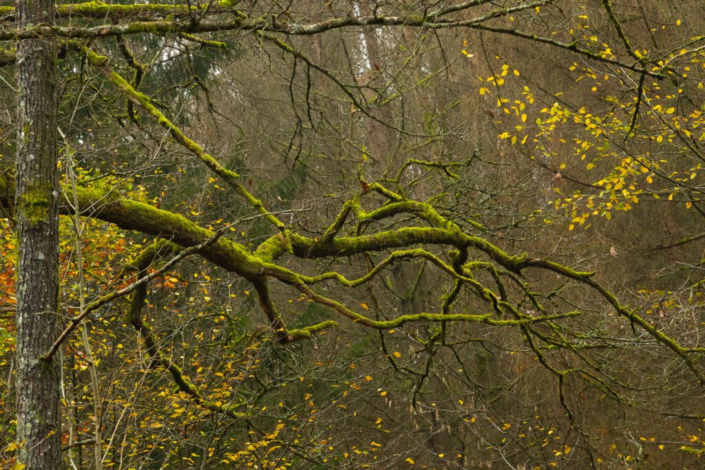 Ein Tag im Urwald